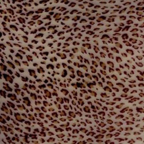 Leopard - Small